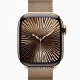 Часы Apple Watch series 10 GPS+Cellular Gold Titanium Case 46mm with Gold Milanese Loop M/L (MX003)