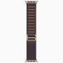 Часы Apple Watch Ultra 2 Titanium case 49mm with Alpine Loop indigo L (MREW3)