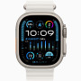 Часы Apple Watch Ultra 2 Titanium case 49mm with Ocean Band white (MREJ3)