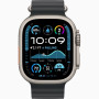 Часы Apple Watch Ultra 2 (2024) Natural Titanium case 49mm with Ocean Band black (MXTL3)