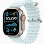 Часы Apple Watch Ultra 2 (2024) Natural Titanium case 49mm with Ocean Band ice blue (MXTF3)