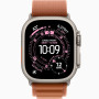 Часы Apple Watch Ultra 3 (2025) Natural Titanium case 49mm with Alpine Loop terra cotta L (MFTD4)