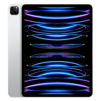 iPad Pro 12,9" M2 (2022) Wi-Fi silver 128Gb (MNXQ3)