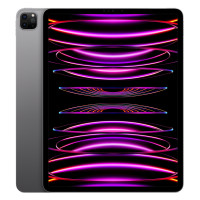 iPad Pro 12,9" M2 (2022) Wi-Fi + Cellular space gray 128Gb (MP5X3, MP1X3)