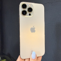 iPhone 13 Pro Max gold 1Tb