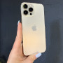 iPhone 13 Pro Max gold 1Tb