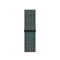 Нейлоновый ремешок Nike Neylon sport loop для часов Apple Watch neptune green