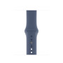 Силиконовый ремешок Silicon sport band для часов Apple Watch alaskan blue