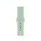 Силиконовый ремешок Silicon sport band для часов Apple Watch beryl