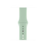 Силиконовый ремешок Silicon sport band для часов Apple Watch beryl