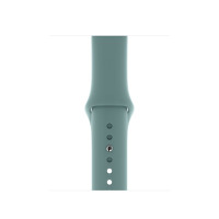 Силиконовый ремешок Silicon sport band для часов Apple Watch cactus