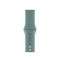 Силиконовый ремешок Silicon sport band для часов Apple Watch cactus