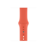 Силіконовий ремінець Silicon sport band для годинника Apple Watch clementine