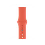 Силиконовый ремешок Silicon sport band для часов Apple Watch clementine