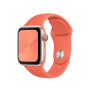 Силиконовый ремешок Silicon sport band для часов Apple Watch clementine