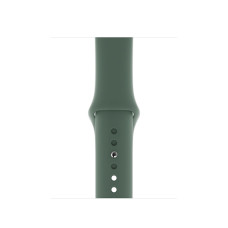 Силиконовый ремешок Silicon sport band для часов Apple Watch pine green
