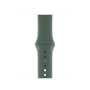 Силиконовый ремешок Silicon sport band для часов Apple Watch pine green