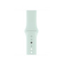 Силиконовый ремешок Silicon sport band для часов Apple Watch seafoam