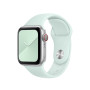 Силиконовый ремешок Silicon sport band для часов Apple Watch seafoam