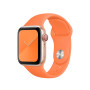 Силиконовый ремешок Silicon sport band для часов Apple Watch vitamin C