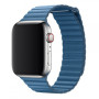 Кожанный ремешок Leather Loop для часов Apple Watch cape cod blue