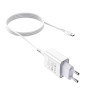 Сетевое зарядное устройство Hoco C81A + Type-C white